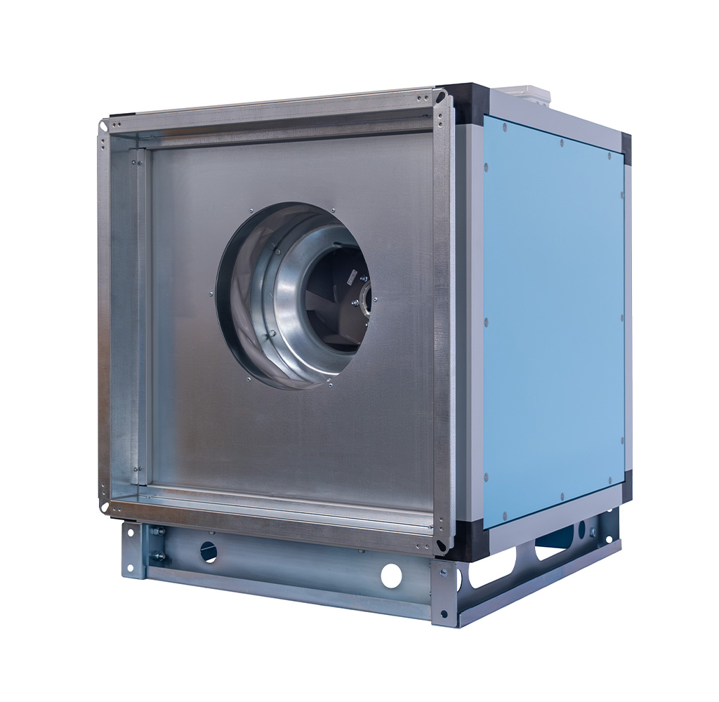 HÜCRELİ FANLAR - Görsel 2