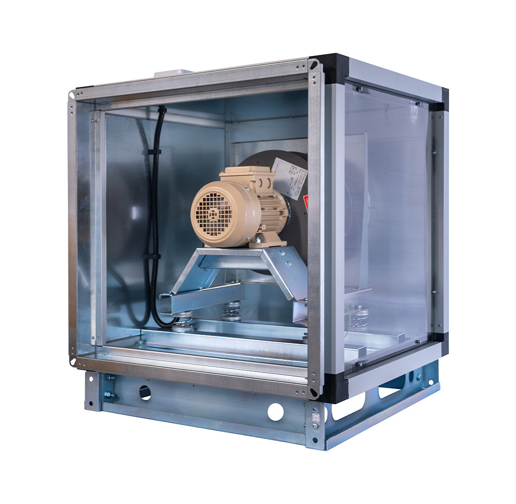 HÜCRELİ FANLAR - Görsel 3