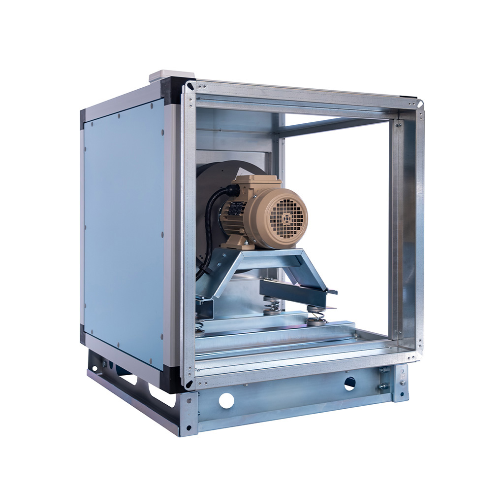 HÜCRELİ FANLAR - Görsel 4